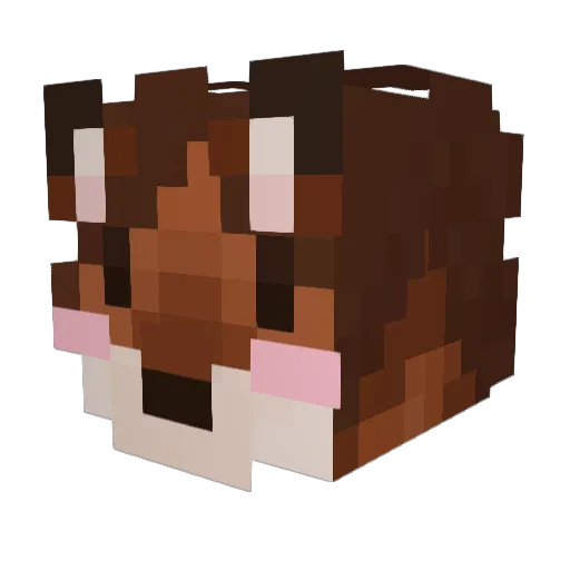 Kiraiskawaii Minecraft avatar head, 3D render