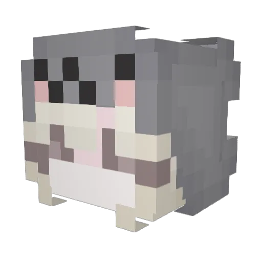Kirav751 Minecraft avatar head, 3D render