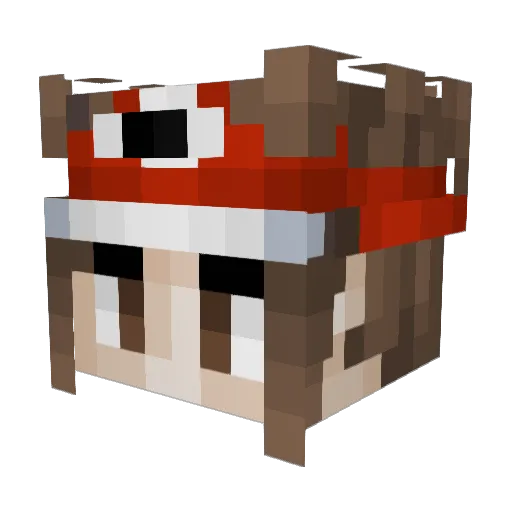 Kirba73 Minecraft avatar head, 3D render
