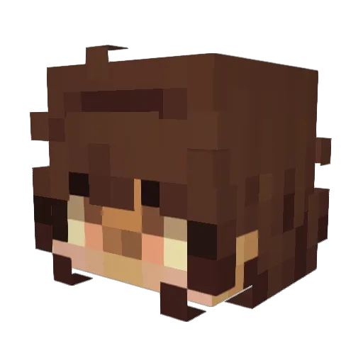 Kirbblazey Minecraft avatar head, 3D render