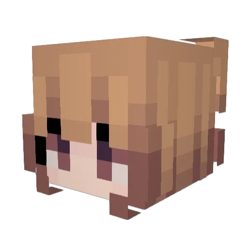 Kirby07 Minecraft avatar head, 3D render