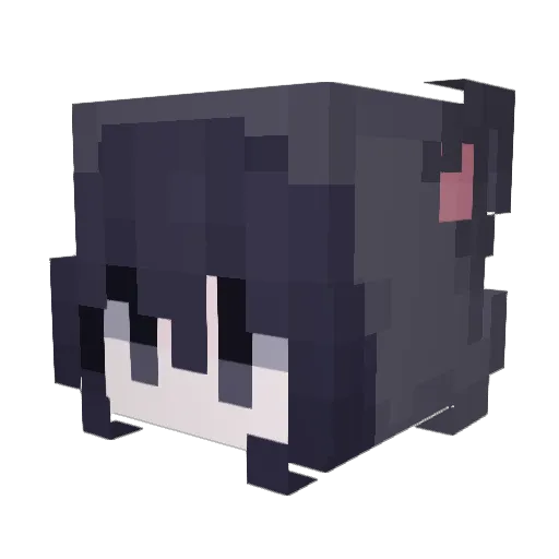 Kirby202 Minecraft avatar head, 3D render