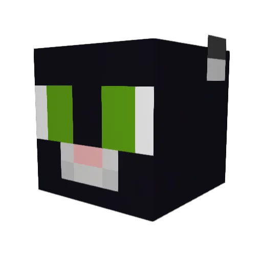KirbyCats Minecraft avatar head, 3D render