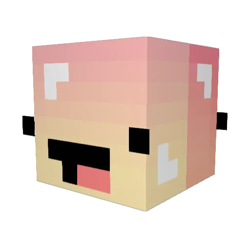 KirikouDu98 Minecraft avatar head, 3D render
