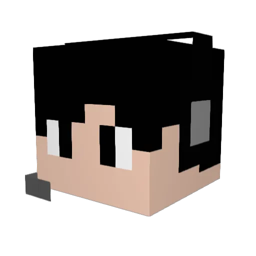 KiritoFans Minecraft avatar head, 3D render
