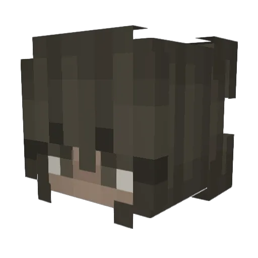 Kirousa Minecraft avatar head, 3D render