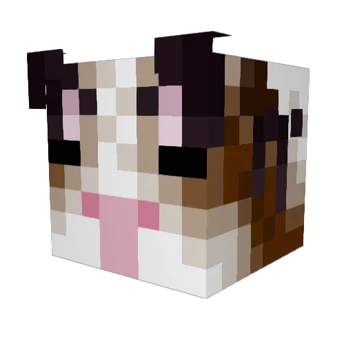 Kirranoid Minecraft avatar head, 3D render