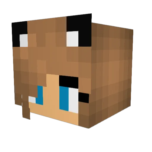 Kirsikka Minecraft avatar head, 3D render