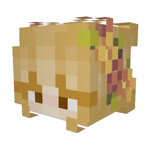 KirstenLC Minecraft avatar head, 3D render
