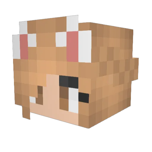 KirstenOtto Minecraft avatar head, 3D render