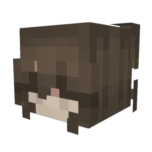 Kirwan82 Minecraft avatar head, 3D render