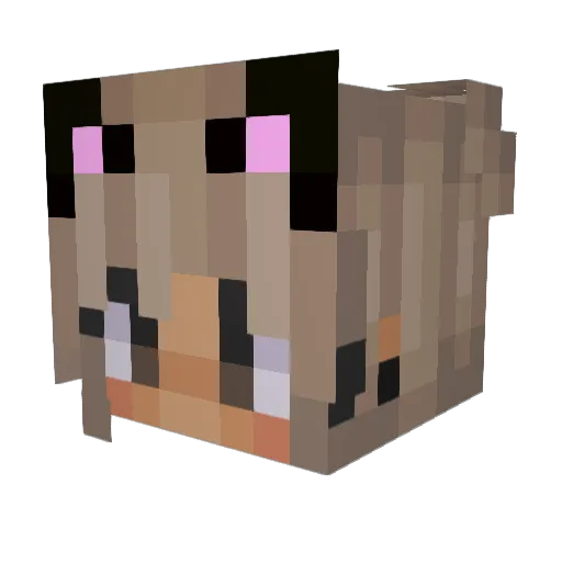 Kisa_Craft Minecraft avatar head, 3D render