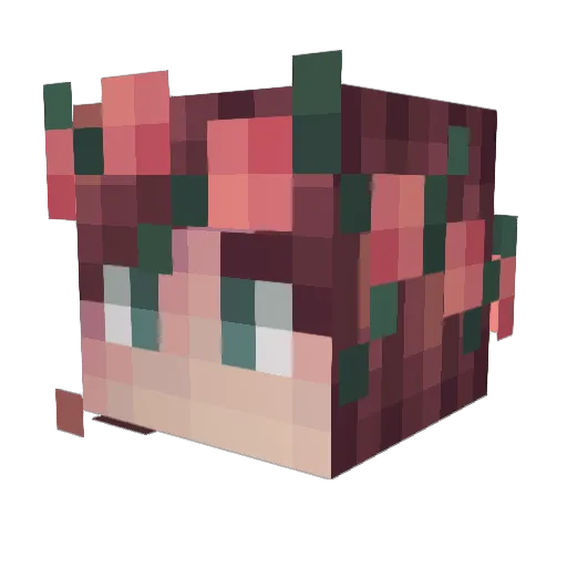 Kisaemms Minecraft avatar head, 3D render