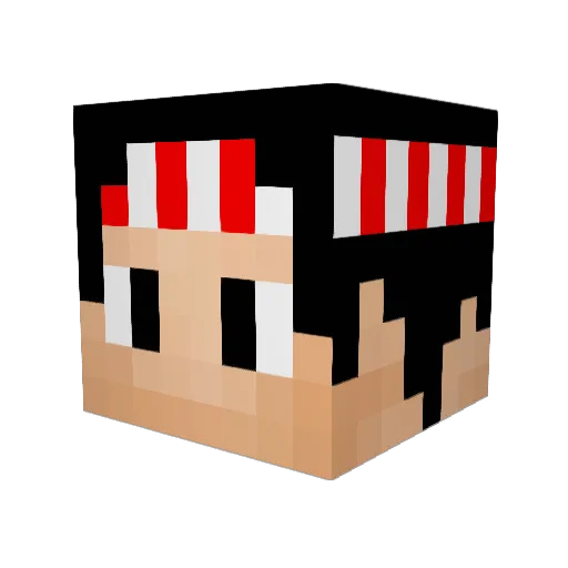 Kisafur Minecraft avatar head, 3D render