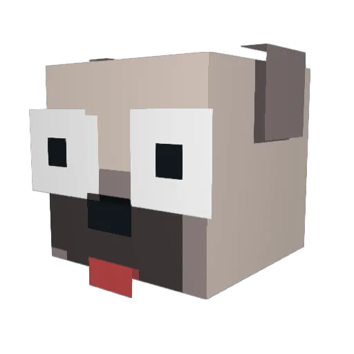 Kiset Minecraft avatar head, 3D render