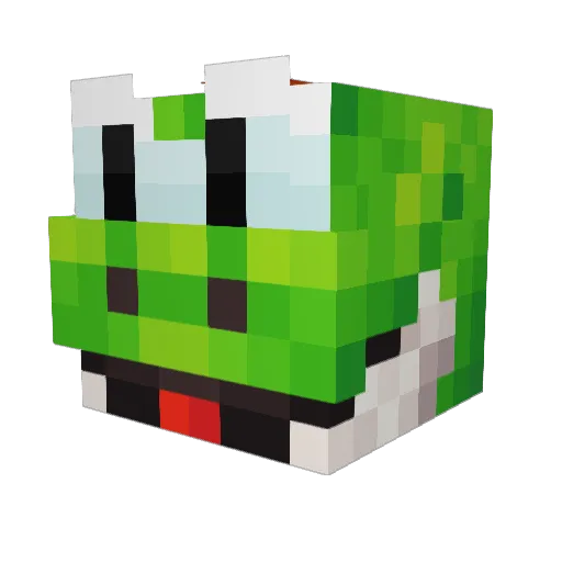 Kishan__ Minecraft avatar head, 3D render