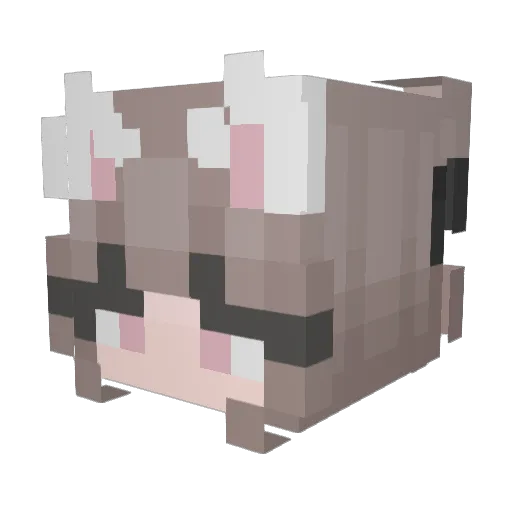 Kisharra98 Minecraft avatar head, 3D render