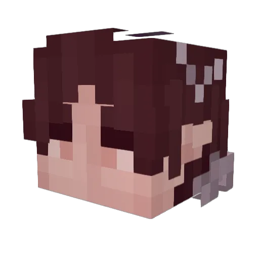 Kishlarikk Minecraft avatar head, 3D render
