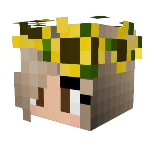 KisiellXDPL Minecraft avatar head, 3D render