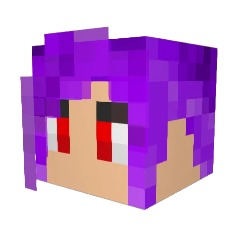KissMyAssPls Minecraft avatar head, 3D render