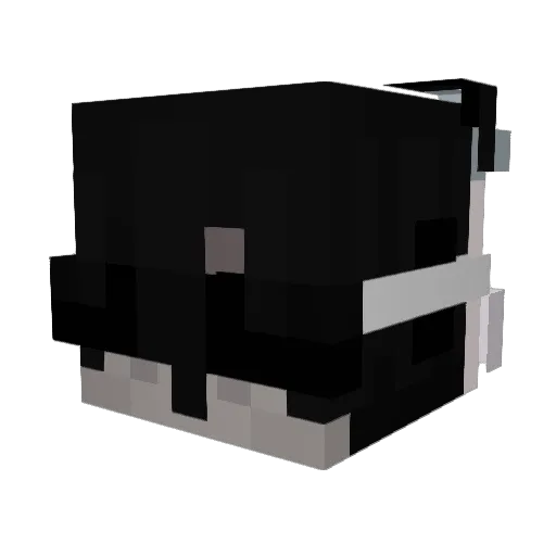 KissedVeil Minecraft avatar head, 3D render
