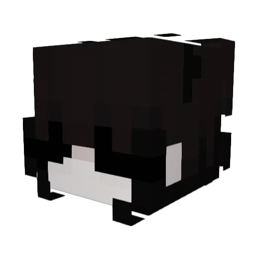 KitCatt2003 Minecraft avatar head, 3D render