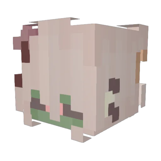 Kit_KatBoox Minecraft avatar head, 3D render