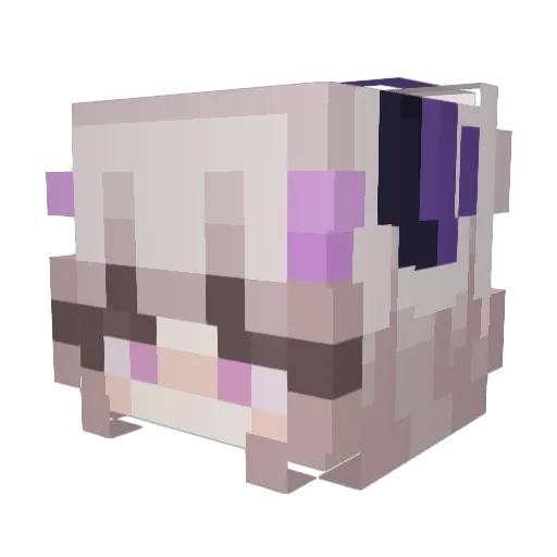 Kitaas Minecraft avatar head, 3D render