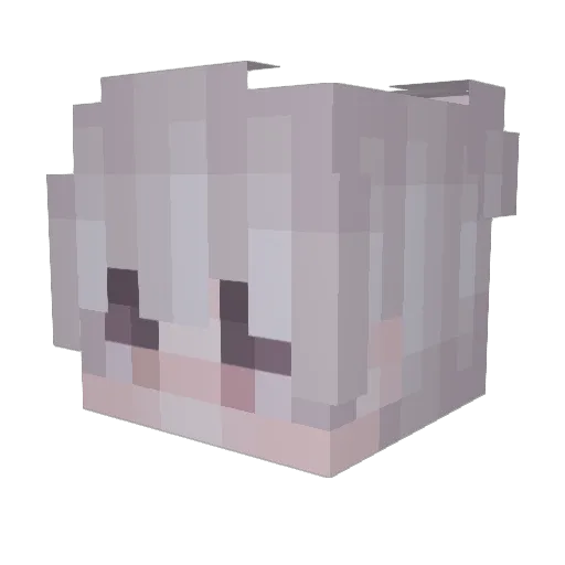 Kitanawa Minecraft avatar head, 3D render