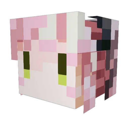 Kitasato Minecraft avatar head, 3D render