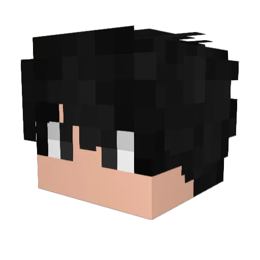 Kitbe10 Minecraft avatar head, 3D render