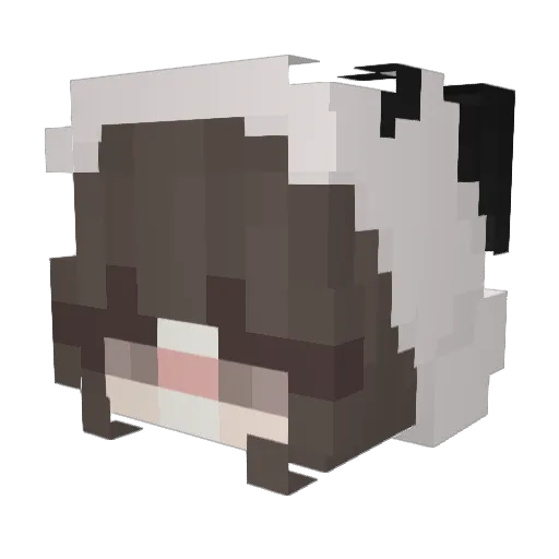 Kitcat1909 Minecraft avatar head, 3D render