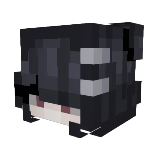 KitchenWitchTV Minecraft avatar head, 3D render
