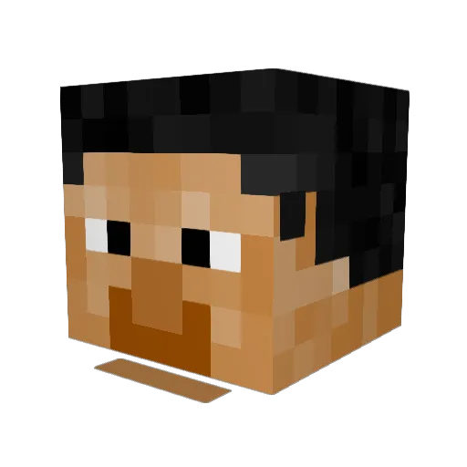 Kiterfan208 Minecraft avatar head, 3D render