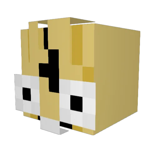 KitiBomb Minecraft avatar head, 3D render