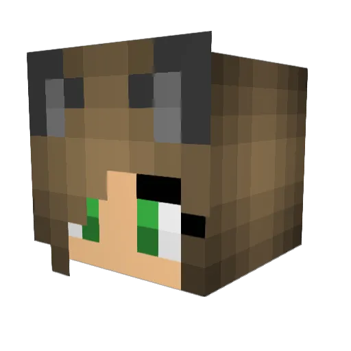 KitnKat09 Minecraft avatar head, 3D render