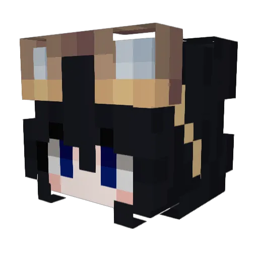Kitnet_ Minecraft avatar head, 3D render