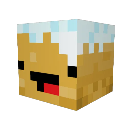 Kitrirky Minecraft avatar head, 3D render