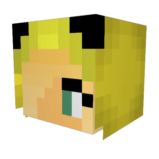 Kitsd_Lar Minecraft avatar head, 3D render