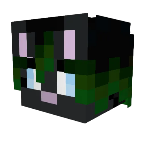 Kitsuchi255 Minecraft avatar head, 3D render