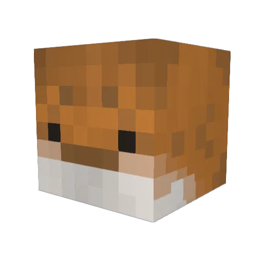 Kitsudoobe Minecraft avatar head, 3D render