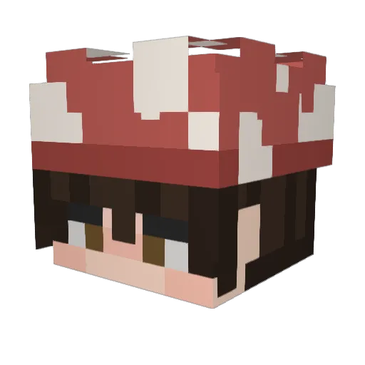 Kitsune113 Minecraft avatar head, 3D render