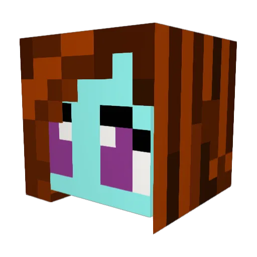 KitsuneNightwing Minecraft avatar head, 3D render