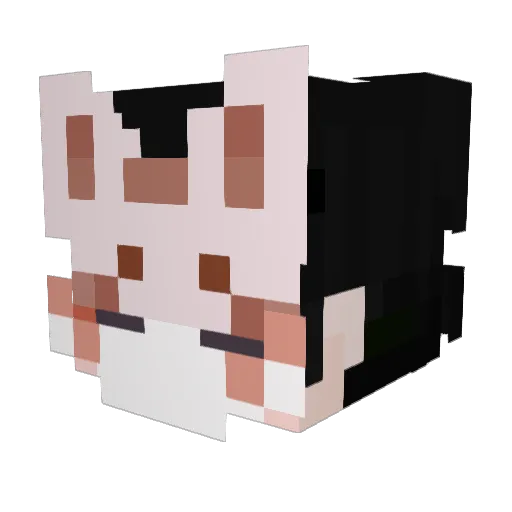 Kitsux_ Minecraft avatar head, 3D render