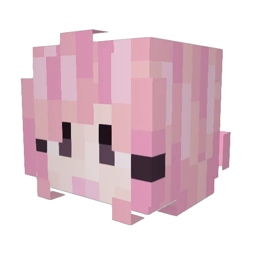 KittCatt9001 Minecraft avatar head, 3D render