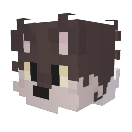 Kitt_Katto Minecraft avatar head, 3D render