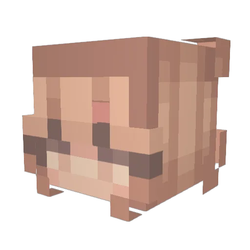 Kittamus Minecraft avatar head, 3D render