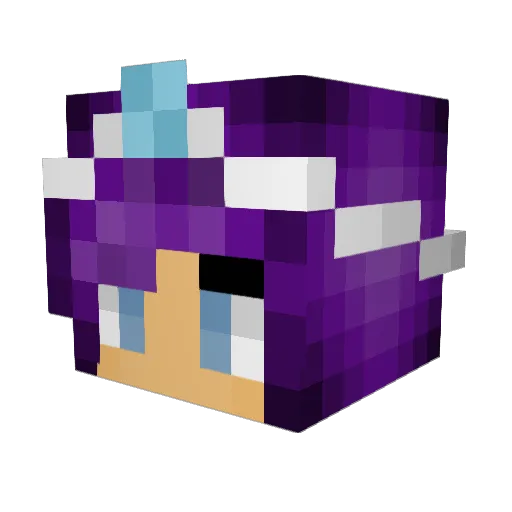 KittehSayzRawr Minecraft avatar head, 3D render