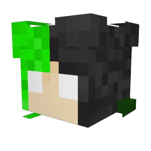 KittenCat1631 Minecraft avatar head, 3D render