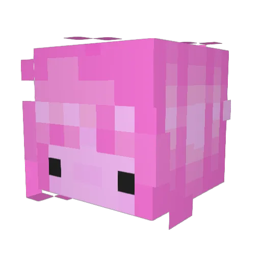 KittenLotus Minecraft avatar head, 3D render